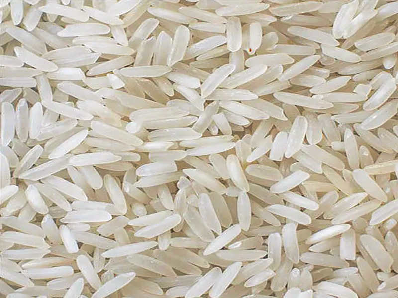 PK-386 (Lal) Rice