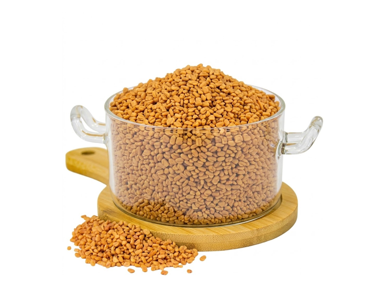 Fenugreek Seed