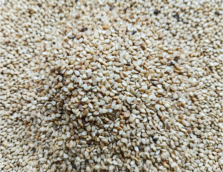Sesame Seed (Sortex)