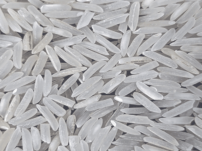 Irri-9/C-9 Long Grain White Rice